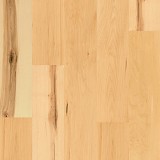 Titanwood Collection
Roman Maple